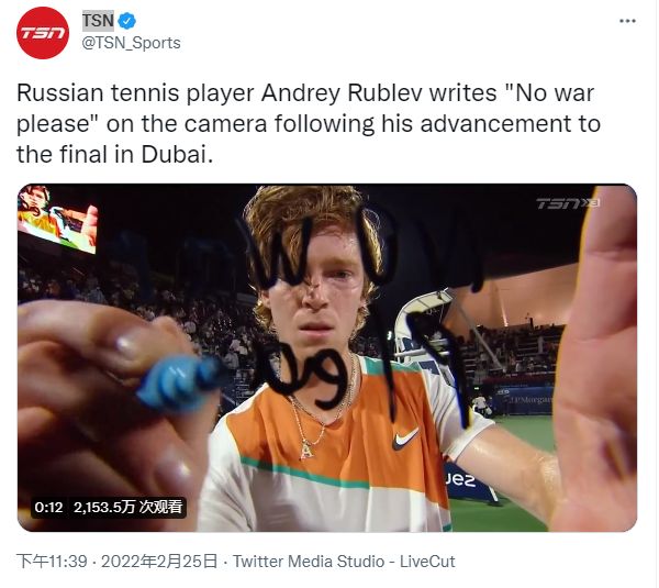 职业化的模 职业化的模